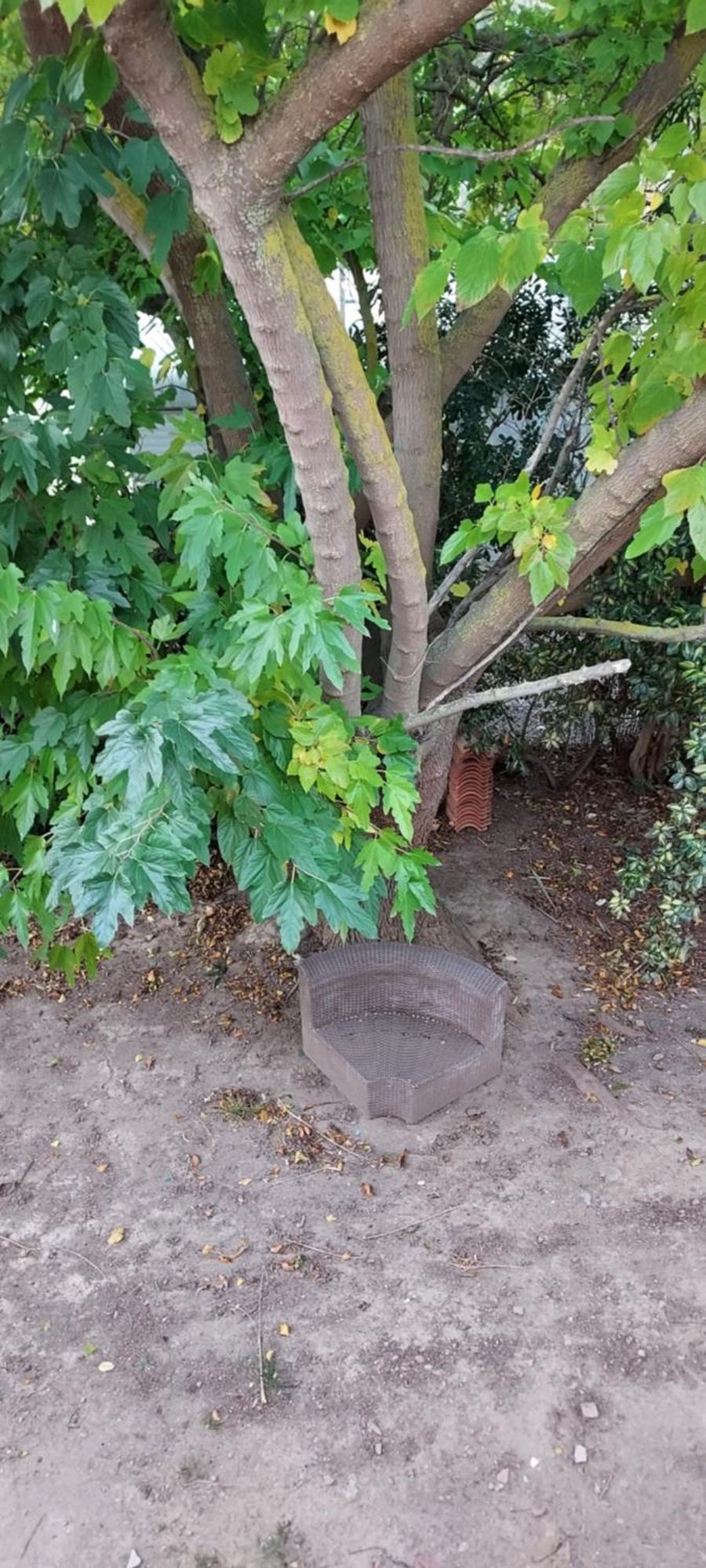 Le Barcares Logement Climatise Pour 6 Personnes, Draps Et Serviettes Non Fournis Air-Conditioned Accommodation For 6 People, Sheets And Towels Not Provided Alojamiento Con Aire Acondicionado Para 6 Personas, Sabanas Y Toallas No Incluidas Exteriör bild